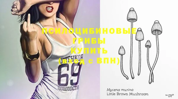 героин Алзамай