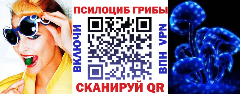 даркнет сайт  Кимры  Псилоцибиновые грибы Psilocybe 