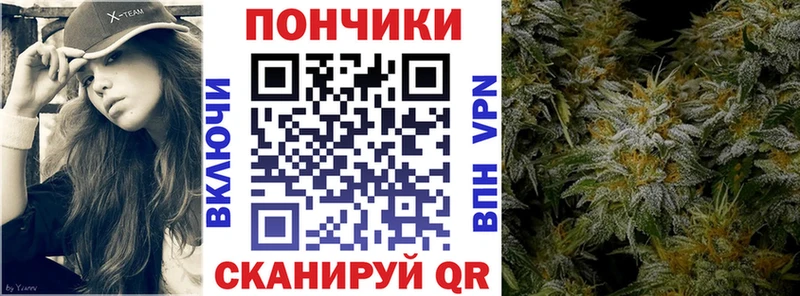Канабис план купить цена Кимры